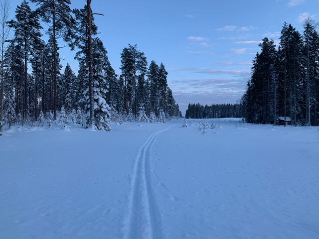 Foto Lars Wiklund, Boviken, Skellefteå